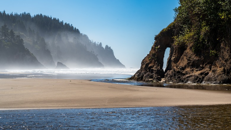 The rugged scenery at Neskowin Beach, Oregon