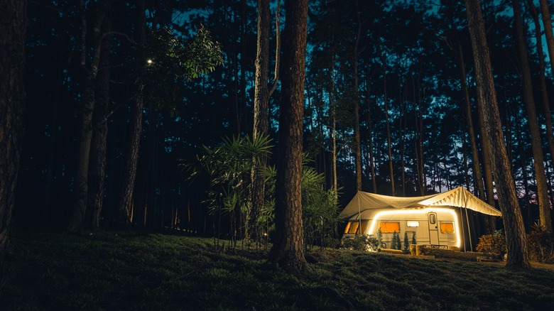 Camper in woods brightly lit in the evening