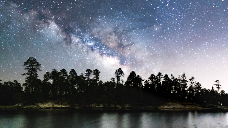 starry skies and the Milky Way above forest and lake