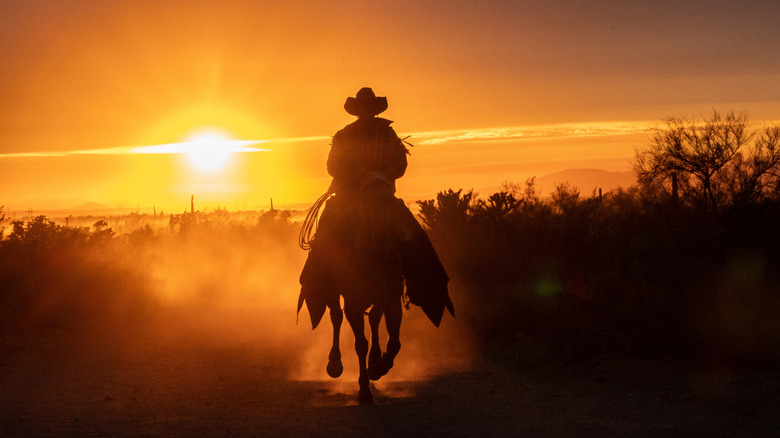 Silhouette of a cowboy riding a horse in the sunset