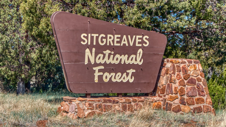 Sign for Sitgreaves National Forest