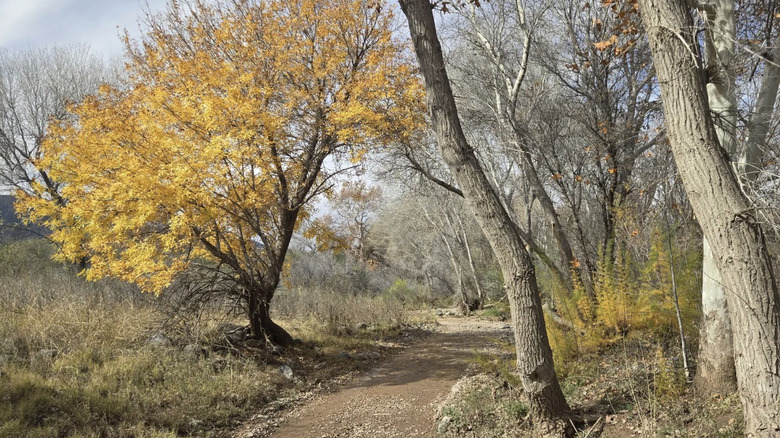 trails at Rockin River Ranch State Park