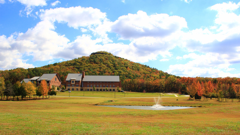Field and hill with trees and buildings