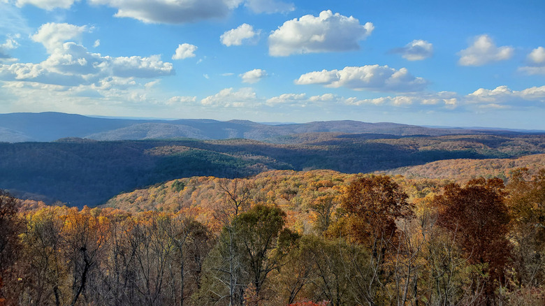 Picturesque fall foliage in the Ozark mountains in Arkansas