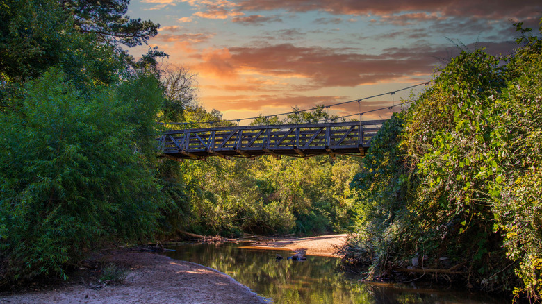 a wooden suspension bridge over Peachtree Creek in Morningside Nature Preserve, Atlanta