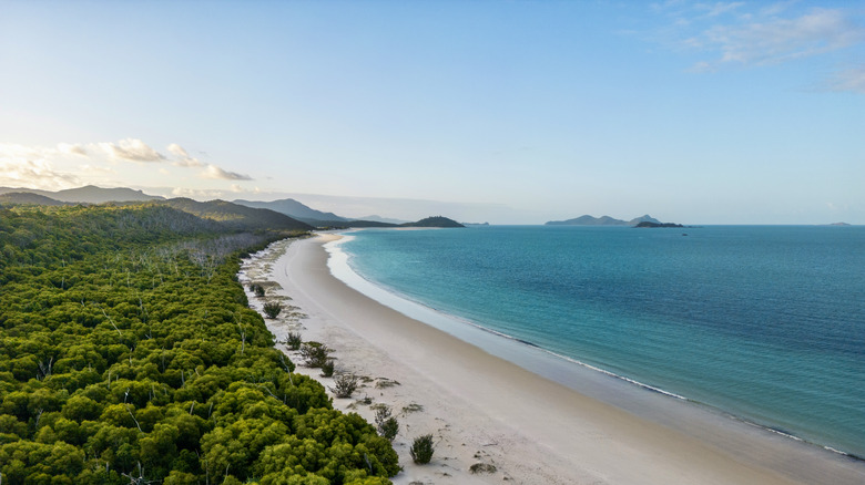 beautiful beach on whitsundays island
