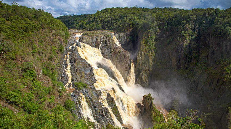 waterfall crashing over a rainforest gorge