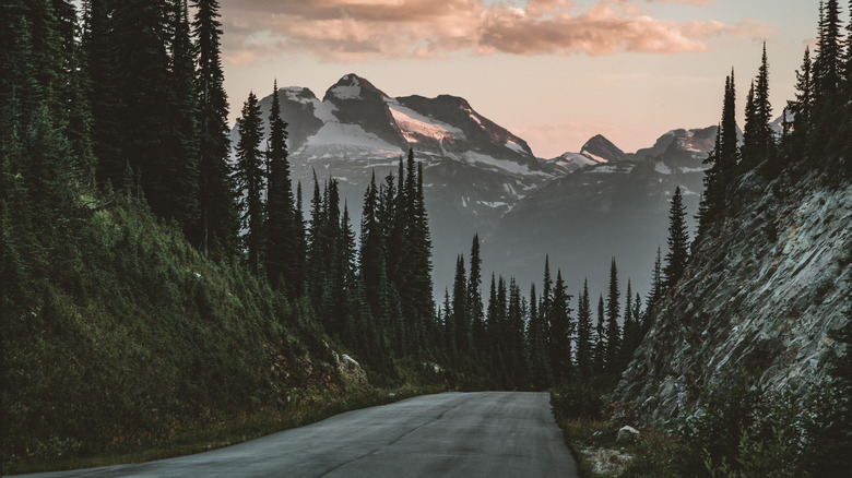 The Meadows in the Sky Parkway of Mount Revelstoke National Park in British Columbia, Canada