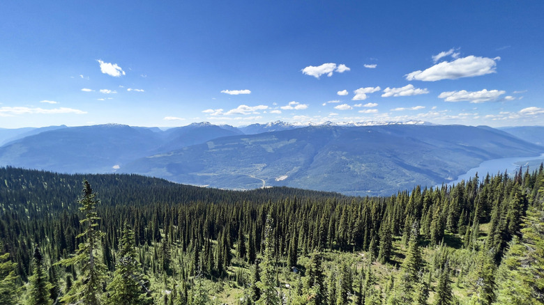 The beautiful landscape in Mount Revelstoke National Park, British Columbia, Canada