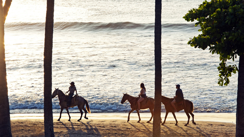 Three people horseback riding on the beach