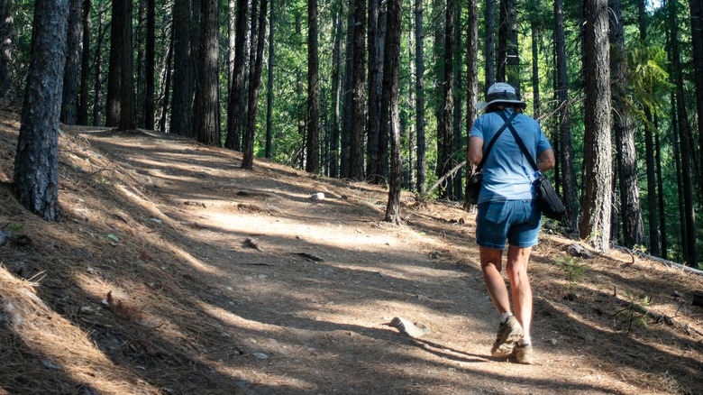 Hiker walking on Castle Crags trail