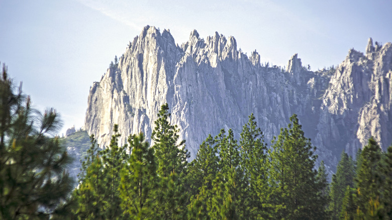 the granite cliffs in Castle Crags State Park in Northern California