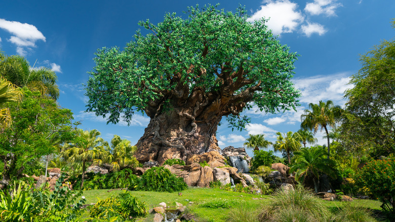 Disney's Animal Kingdom Tree Life
