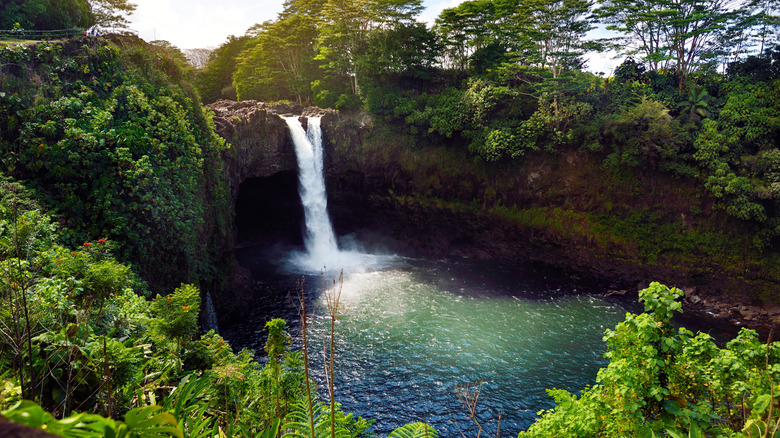 Rainbow Falls on Hilo