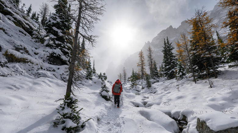 winter hikers in Yoho National Park