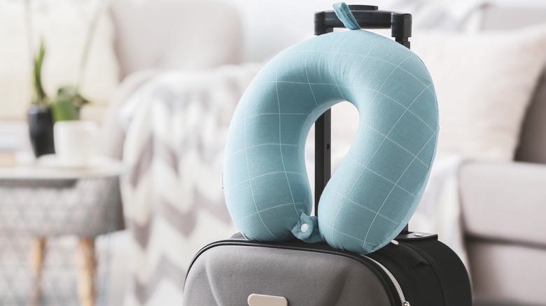 Blue Pillow Storage & Travel Bag