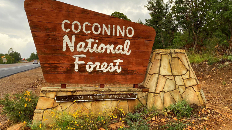 signage entrance to Coconino National Forest.