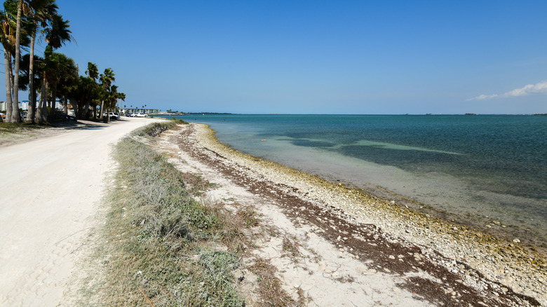 Beach to the side of Dunedin Causeway on the way to Honeymoon State Park, Florida
