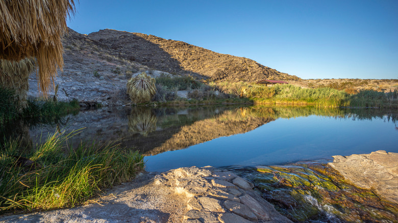 Rogers Warm Hot Spring Lake, Nevada