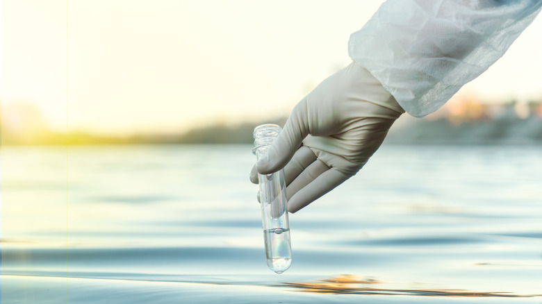 A person's gloved hand holds a beaker containing liquid above a watery surface