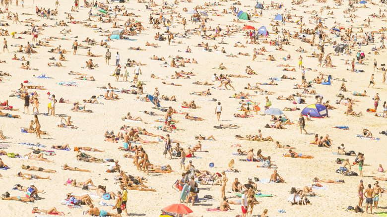 large crowd on the beach