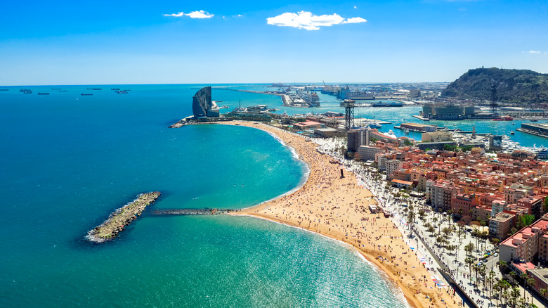 aerial view beach and city