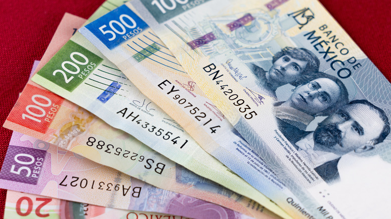 Five multi-colored Mexican banknotes on display