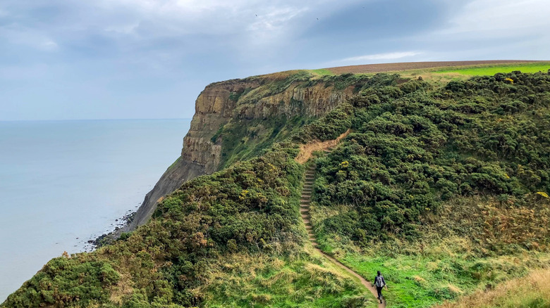 Cliffs overlooking the sea on the Cleveland Trail