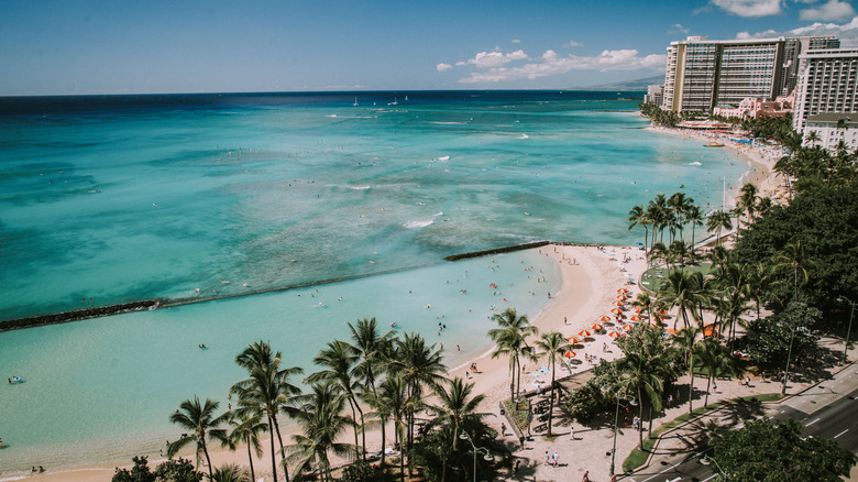 Waikiki Beach Oahu