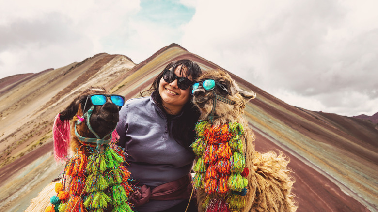 Two dogs posing with woman in sunglasses at Rainbow Mountain in Peru