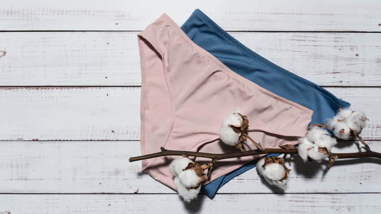 Two pairs of women's cotton underwear with cotton bolls