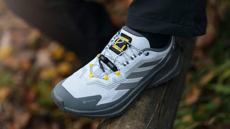 New hiking shoe on log in woods