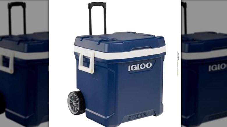 Igloo cooler with handle raised on plain background