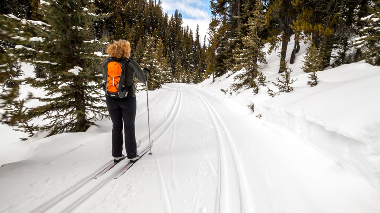 cross-country skiing trails in Peter Lougheed Provincial Park