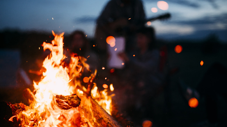 People by campfire