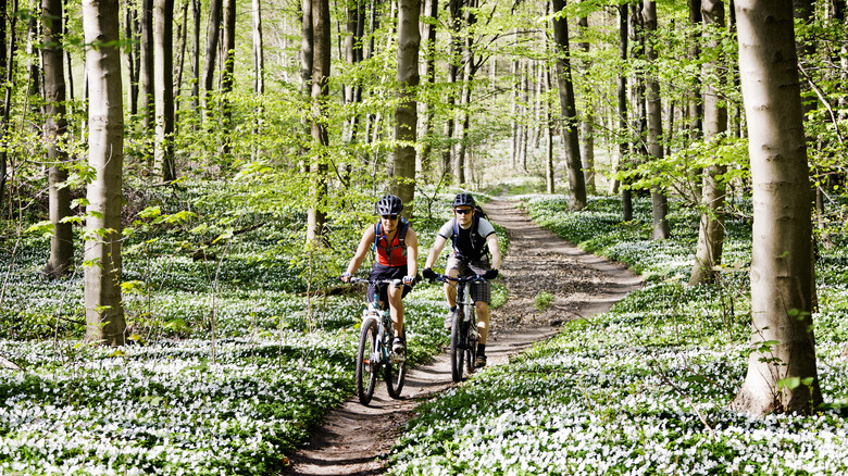 Two people cycling