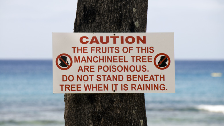 Warning sign on tree