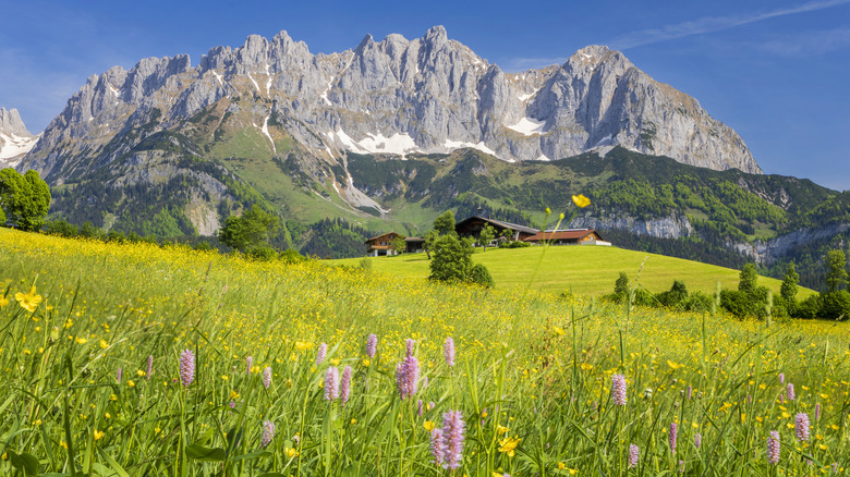 austrian alps mountains and hut