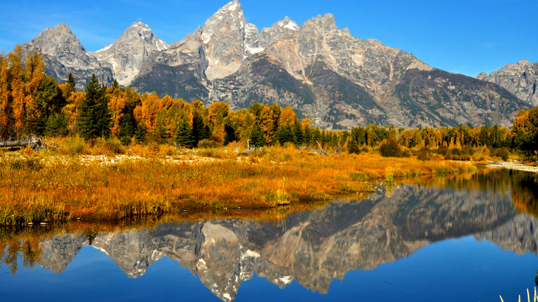 grand tetons in fall 