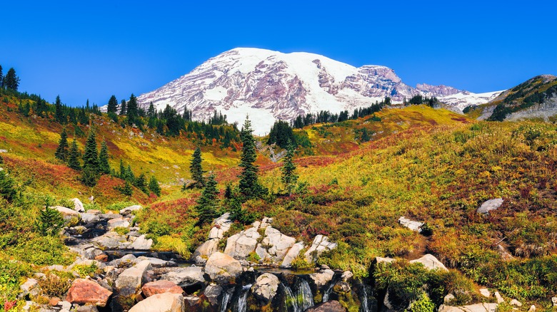 mount rainier national park fall 