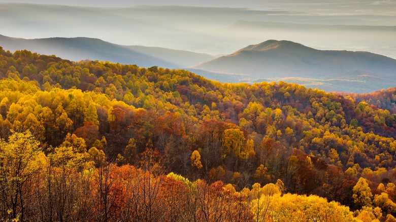 shenandoah national park fall