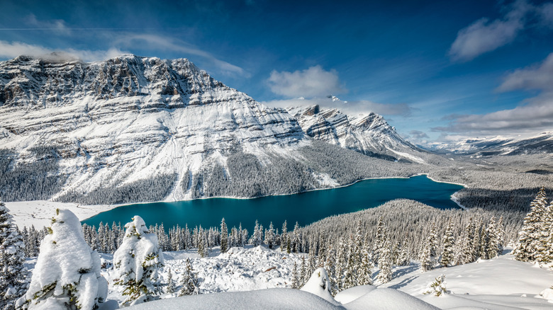 Lake at Banff National Park