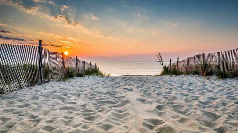Delaware beaches