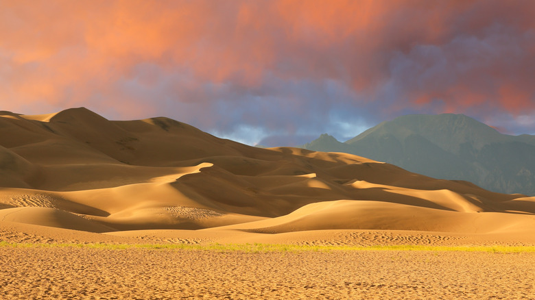 Rolling sand dunes