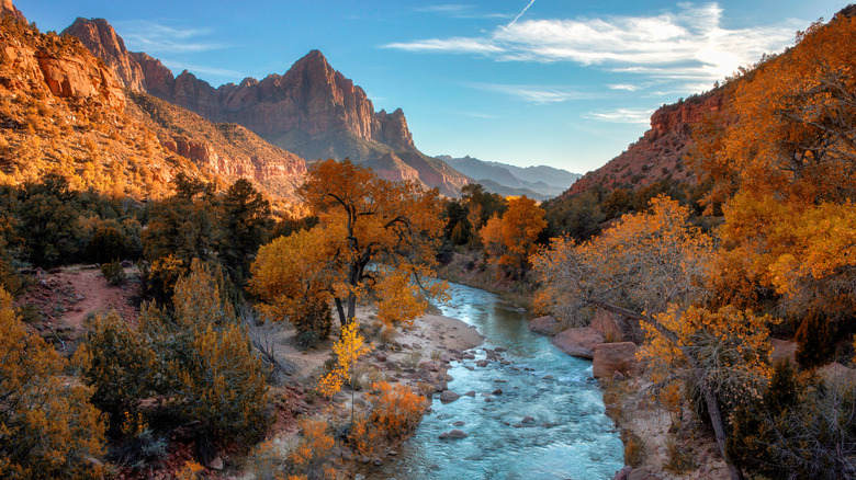 Autumn colors in Zion National Park