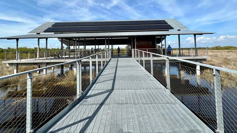 A scenic viewpoint at Fakahatchee Strand Preserve State Park