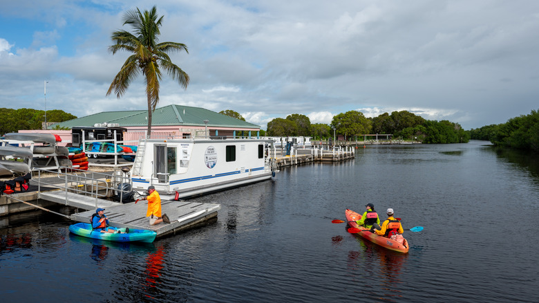 kayakers on the water at Flamingo Marina in Everglades National Park
