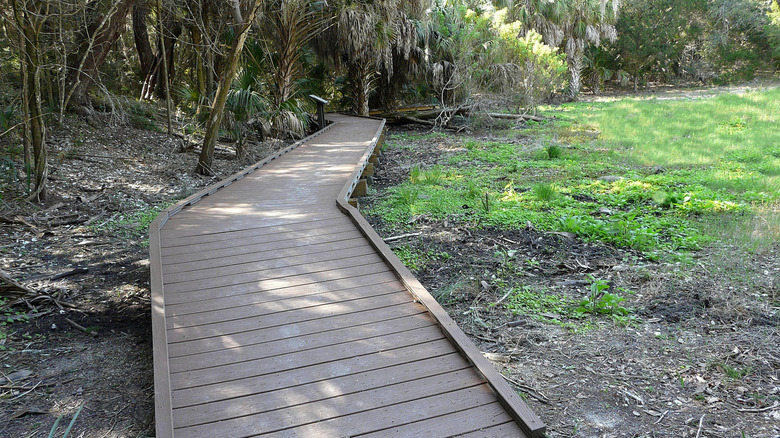 The boardwalk at Mound Key Archaeological State Park