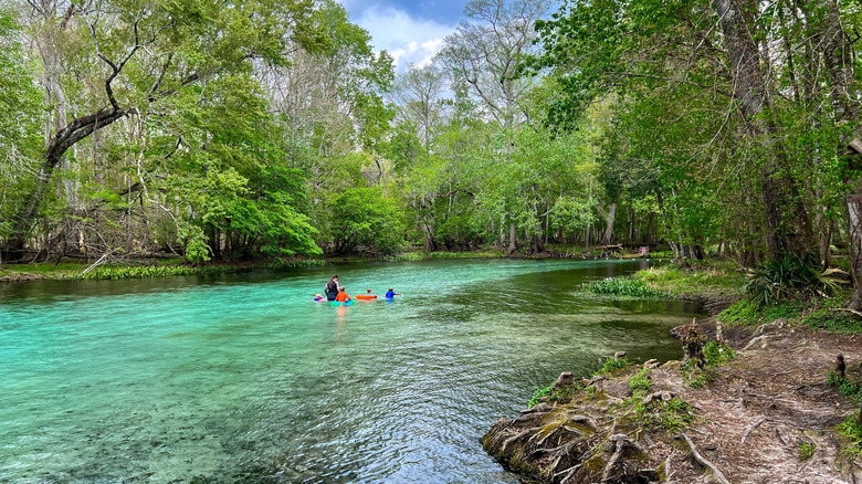 Swimming in Gilchrist Blue Springs State Park
