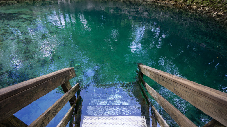 The swimming hole at Madison Blue Springs State Park